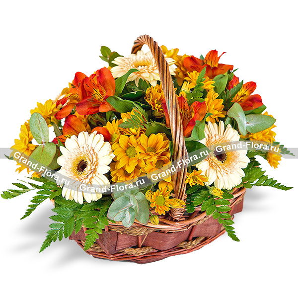 Осенний сюрприз - корзина с желтой хризантемой и альстромерией